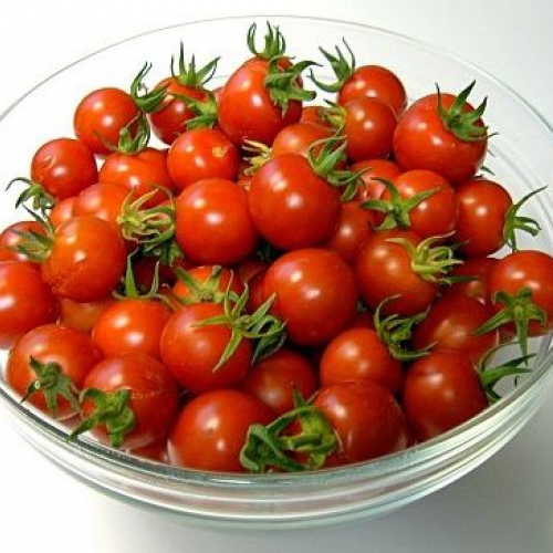 Hạt giống Cà Chua Bi F1