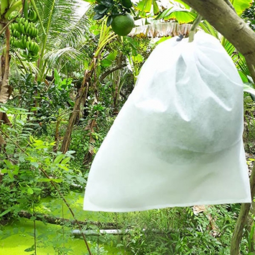 Túi bao quả dây rút - 40x50cm