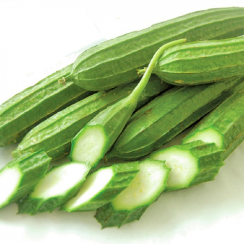 Hạt giống mướp khía