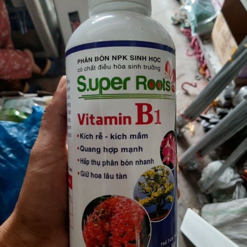 Chế phẩm Vitamin B1 Super Roots - kích rễ bật mầm - Chai 1 lít