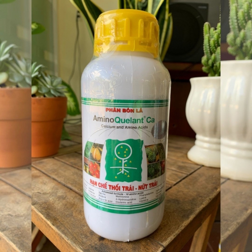 Phân bón Amino Quelant Ca chống thối trái - nứt trái 500ml