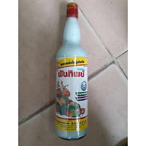 Phân bón vi lượng Growmore sữa Thái Rootone