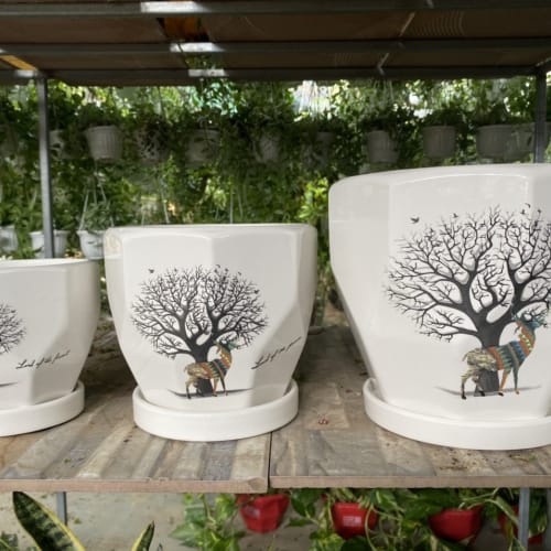 Chậu trồng cây để bàn hình cái cây mã DB-4-40k