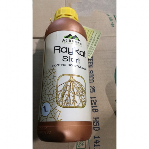Phân bón siêu ra rễ Raykat Start - 1 lít