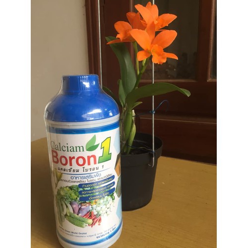 Phân bón lá Calciam Boron Thái Lan - 1 lít
