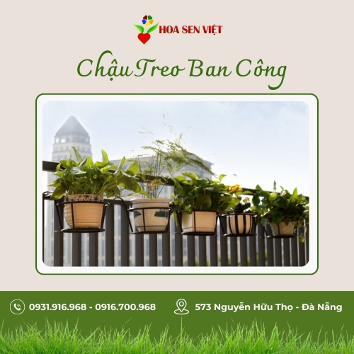 Giỏ treo hoa ban công