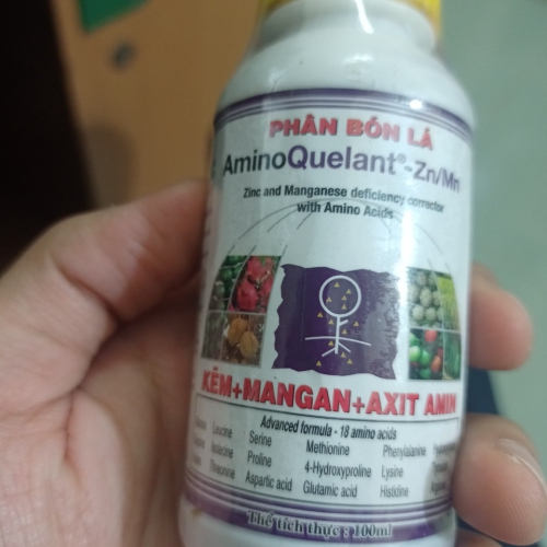 Phân bón lá AminoQuelant Zn/Mn - 100ml