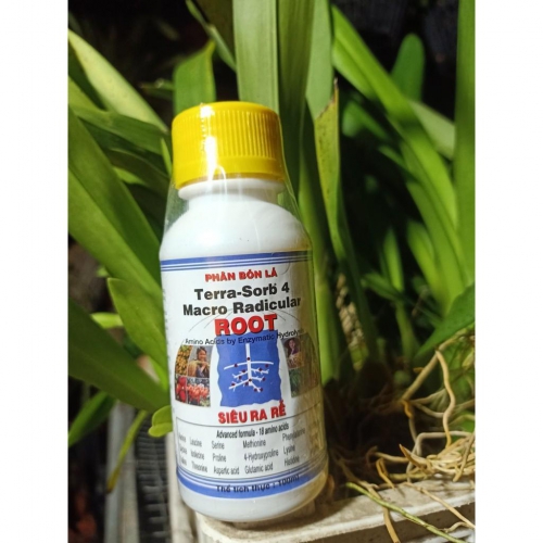 Phân bón siêu ra rễ Terra Sorb 4 Root - 100ml