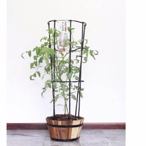 Khung trồng hoa hồng tiện dụng - 150cm