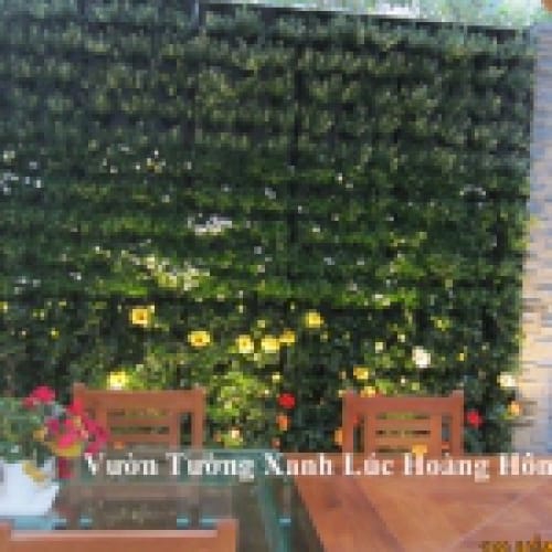 Vườn tường nội thất