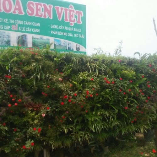 Vườn biển hiệu công ty