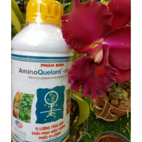 Phân bón lá Amino Quelant Minors - 1 lít