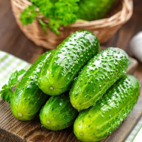 Hạt giống Dưa leo F1 - Baby Boy