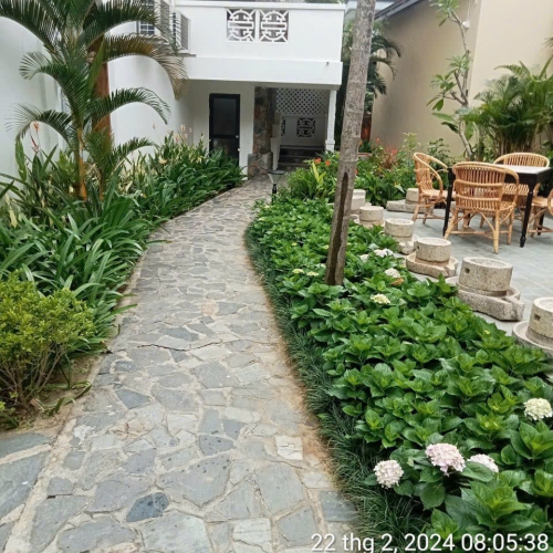  5 Sai Lầm Thường Gặp Khi Chăm Sóc Sân Vườn Và Cách Khắc Phục