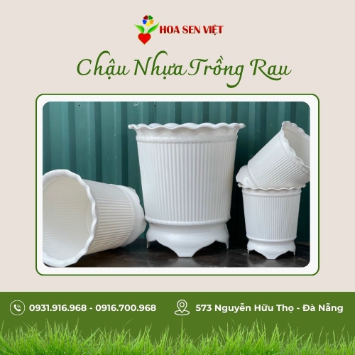Chậu Nhựa Trồng Cây, Trồng Rau