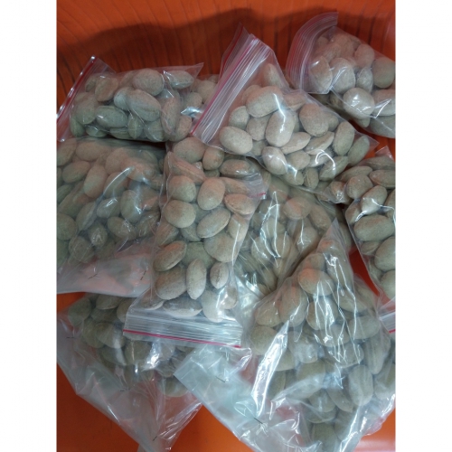 Phân quả bàng - hạt bàng tan chậm Nhật Bản - Nurseryace 12-6-6-2 - 100g