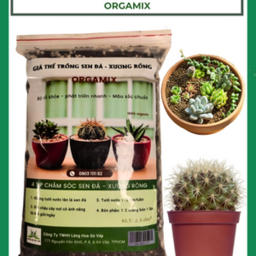 Giá thể ươm trồng xương rồng - sen đá Orgamix