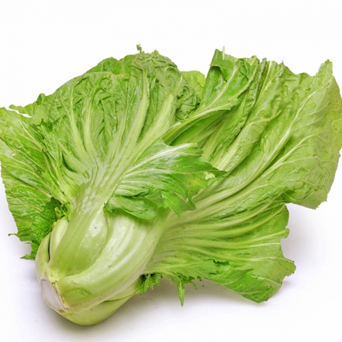 Hạt giống Cải bẹ dưa