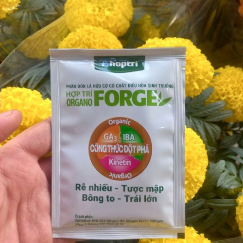 Phân bón lá hữu cơ Hợp Trí Organo Forge - Gói 25ml