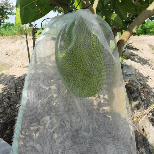 Bao lưới cước - 50x70cm