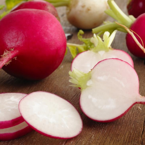 Hạt giống củ cải đỏ Little Angle