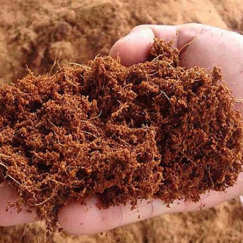 Xơ dừa Đà Nẵng