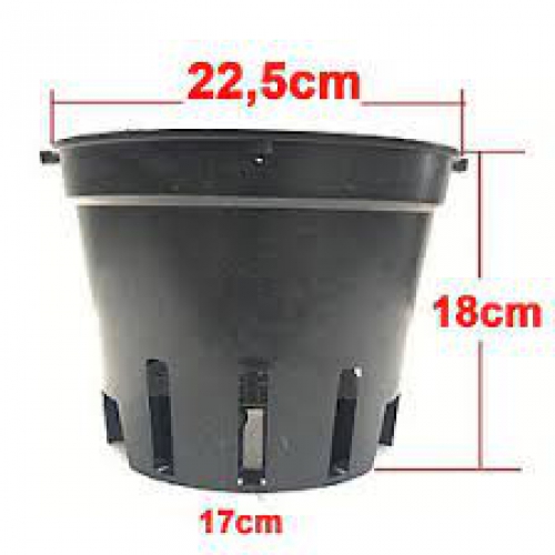 Bộ 25 chậu phi 23 nhựa đen trồng lan