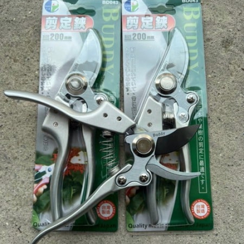 Kéo cắt cành chính hãng BUDDY BD043