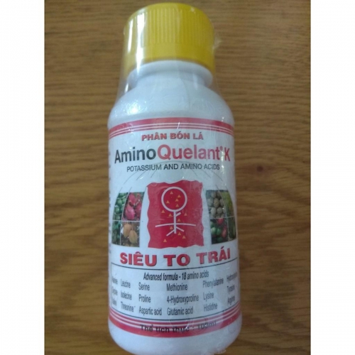 Phân bón lá Amino Quelant K Siêu to trái - 100ml