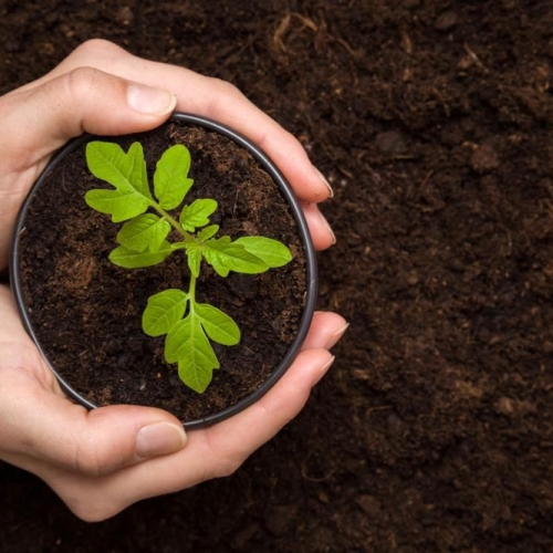 Đất trồng rau Orgamix 3 in 1 trồng rau, hoa và cây kiểng - Bao 20dm3