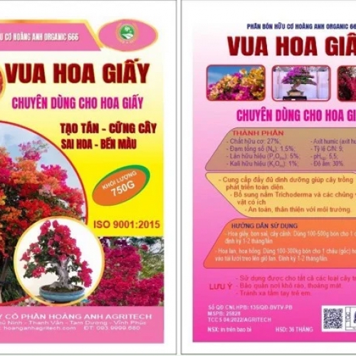 Phân bón hữu cơ chuyên dùng cho hoa giấy giúp cứng cây, sai hoa, bền màu