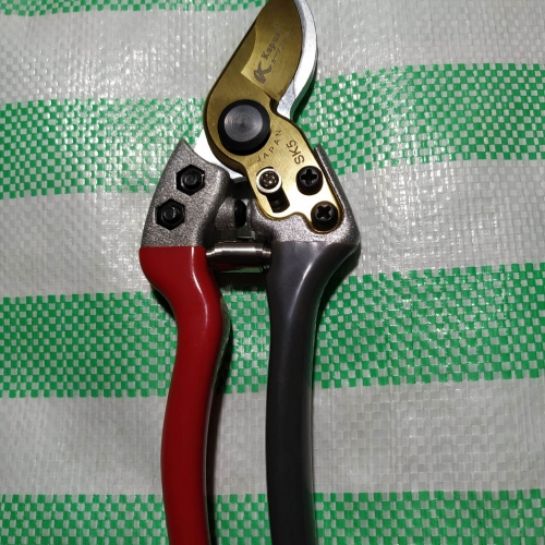 Kéo cắt cành SK5 lưỡi vàng