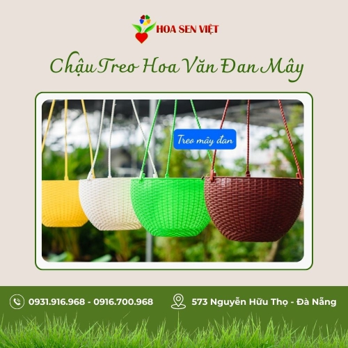 Chậu treo trồng cây, hoa mây đan