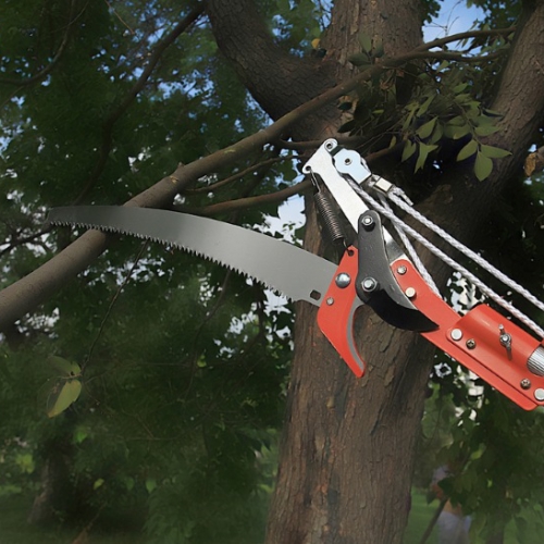 Kéo cắt cành trên cao 5m dây giật cắt cành to