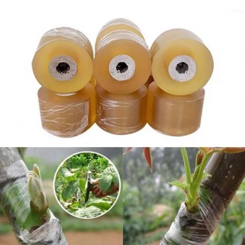 Băng keo ghép cây tự dính - 2cm