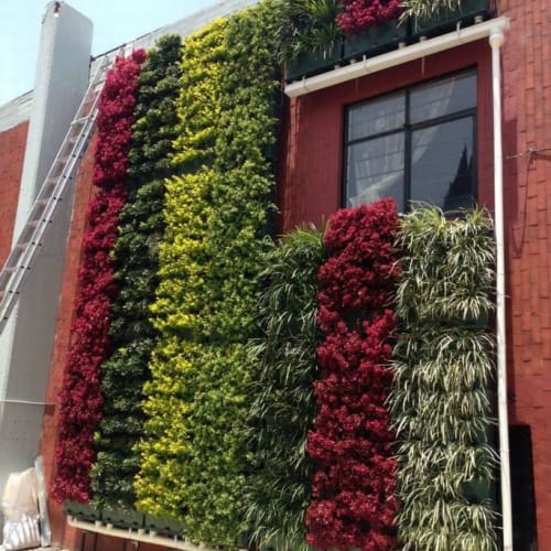 Vườn cửa số