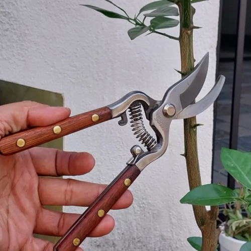 Kéo tỉa cành bonsai Nhật HM815