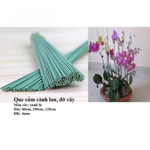 Combo 10 que (ty) cắm hoa lan - 120cm