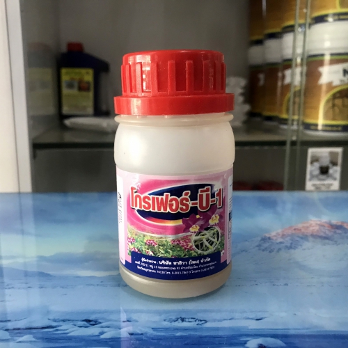 Phân bón B1 Grofer nhập khẩu Thái Lan - 100ml