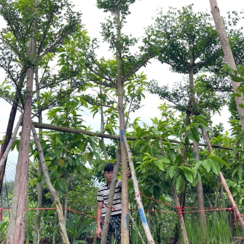 Tuyển nhân viên kinh doanh và chăm sóc khách hàng