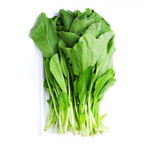 Hạt giống rau cải