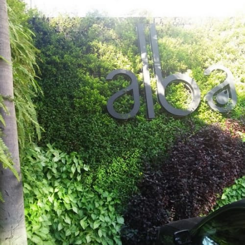 Vườn trên tường