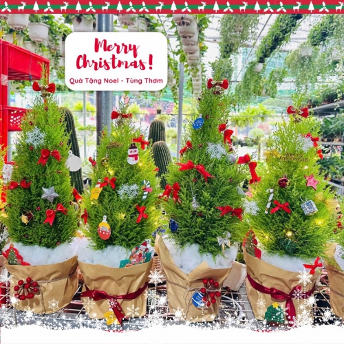 Cây Thông Noel Đã Trang Trí Phụ Kiện
