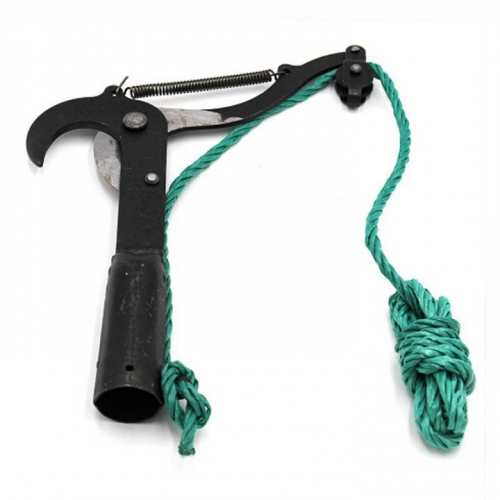 Đầu kéo giật cành trên cao