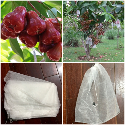 Bịch 100 túi vải không dệt bao trái - 16x18cm