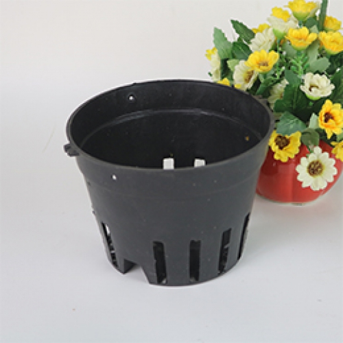 Bộ 15 chậu phi 21 nhựa đen trồng lan