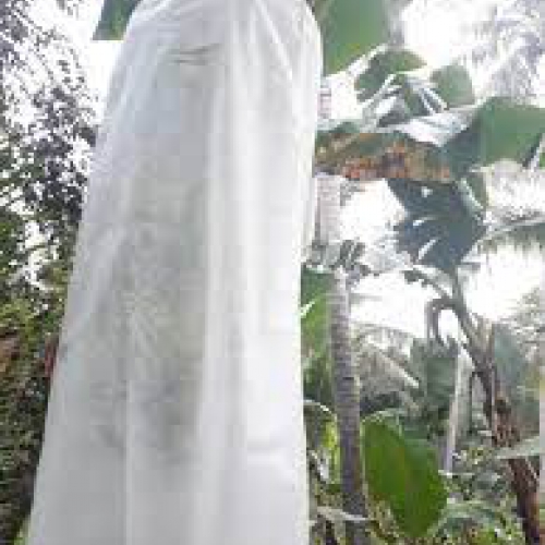 Túi bao quả dây rút - 60x100cm