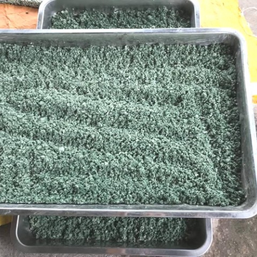 Nấm đối kháng Trichoderma - Gói 500gr