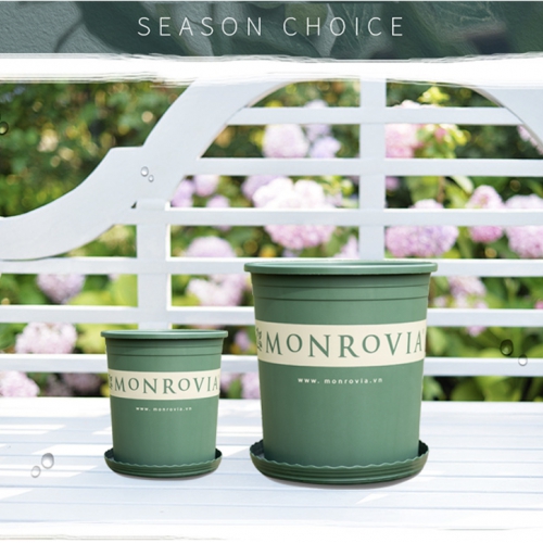 Chậu Monrovia 6GL Nhập TQ( 30*35cm)