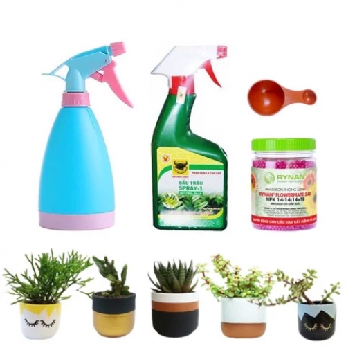Combo chăm sóc cây để bàn